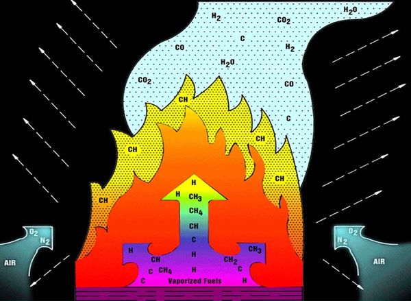 Anatomie eines Feuers.jpg